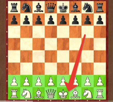 король в шахматах