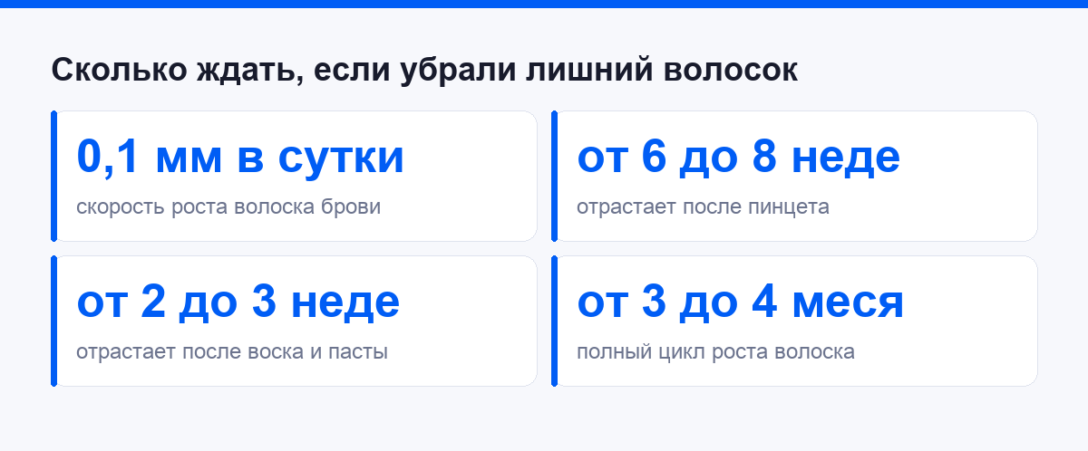 Цифры роста бровей: скорость, сроки отрастания и полный цикл