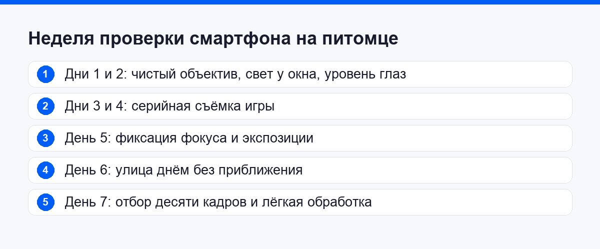План проверки смартфона на съёмке питомца за семь дней