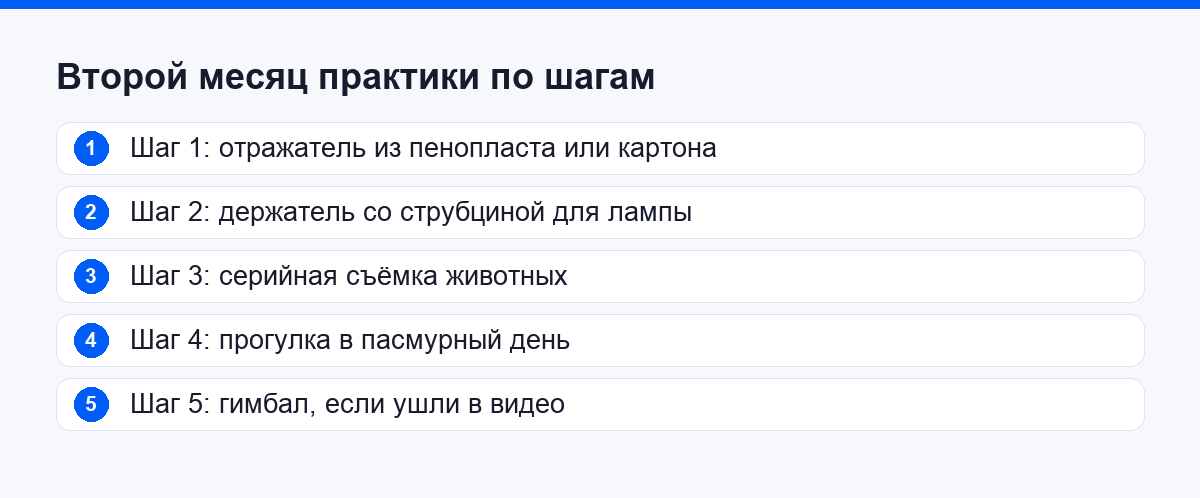 Пять шагов второго месяца практики мобильной фотографии