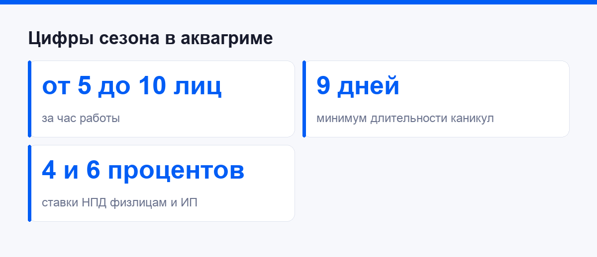 Цифры сезона: сколько лиц в час и какие ставки налога у аквагримёра