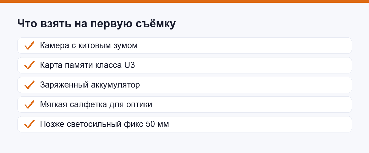 Чек-лист новичка: камера с китом, карта памяти, аккумулятор, салфетка и фикс 50 мм