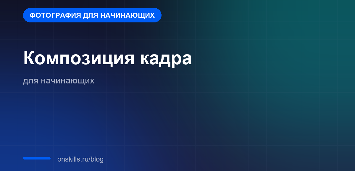 Композиция кадра для начинающих: как строить кадр