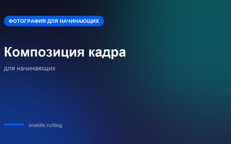 Композиция кадра для начинающих: как строить кадр
