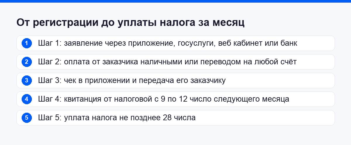Пять шагов от регистрации в приложении до уплаты налога за месяц