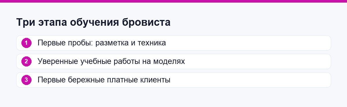 Три этапа обучения бровиста