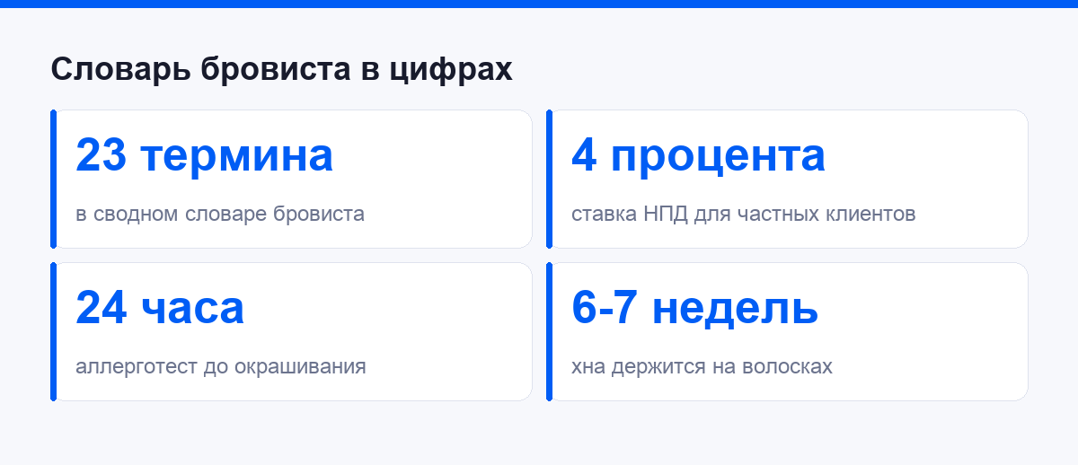 Словарь бровиста в цифрах: термины, ставка НПД, срок аллерготеста и носки хны