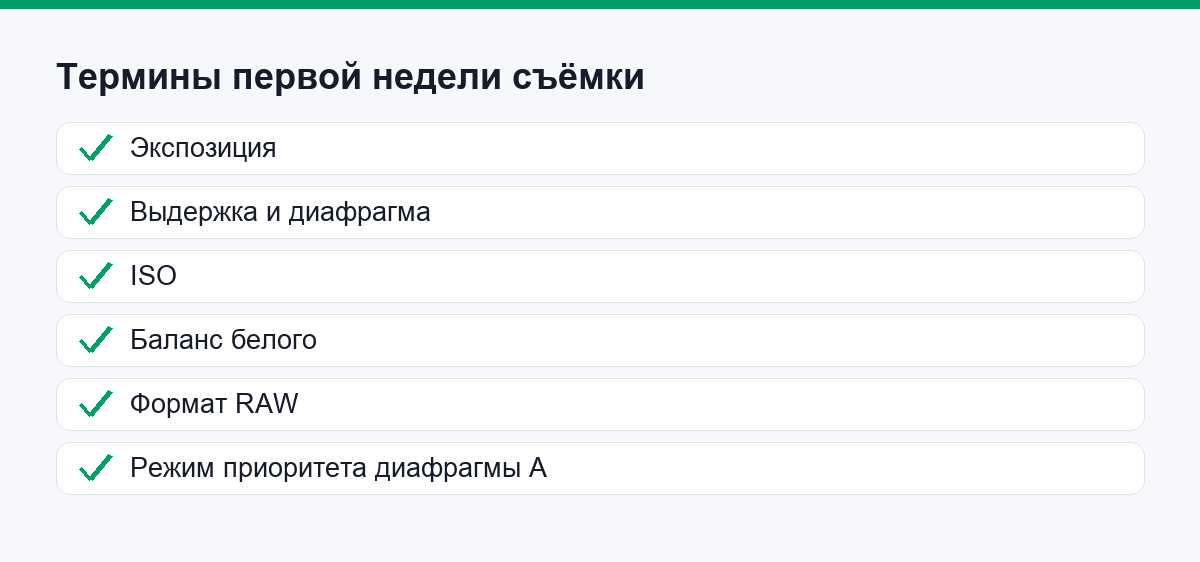 Термины и настройки для первой недели съёмки
