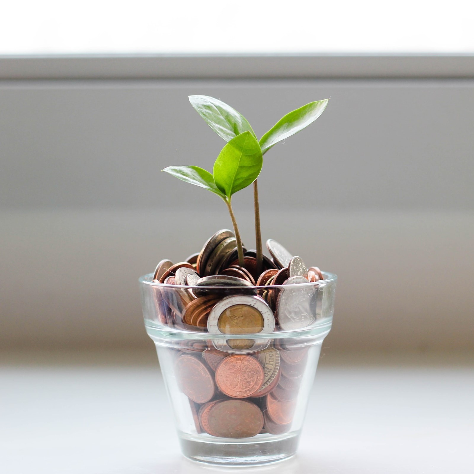 финансовая грамотность для детей